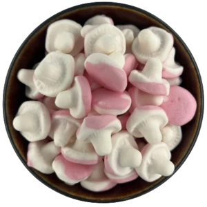 Foam Mushrooms