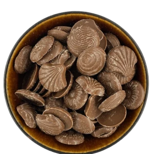 Mussels